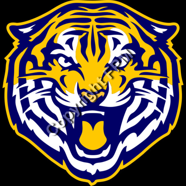 1013 Tiger Thumbnail