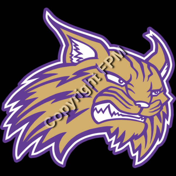 1016 Bobcat Thumbnail