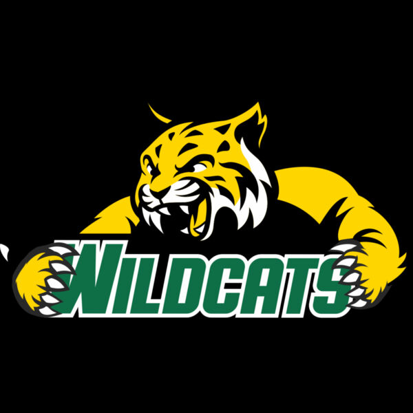 962 Wildcats Thumbnail