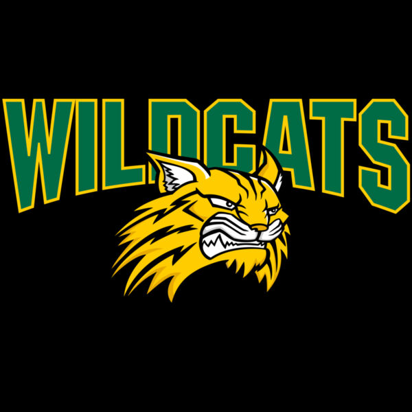 963 Wildcats Thumbnail