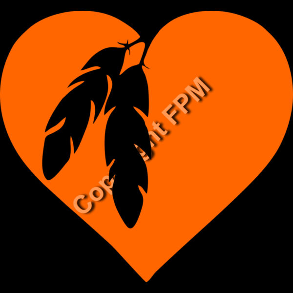 415 Feather Heart Thumbnail