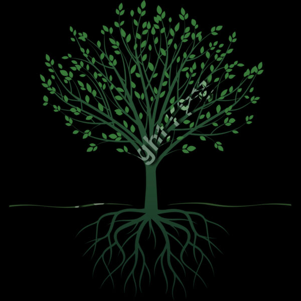1254 Tree with Roots Thumbnail