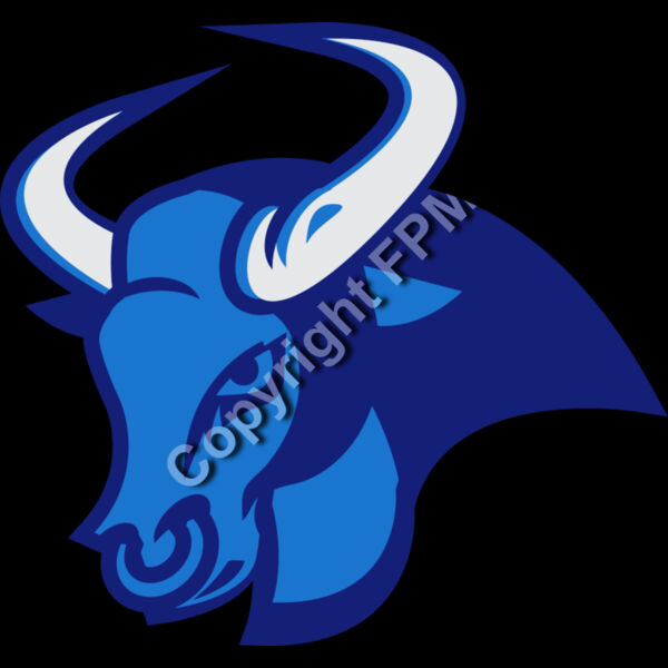 1310 Bull Thumbnail