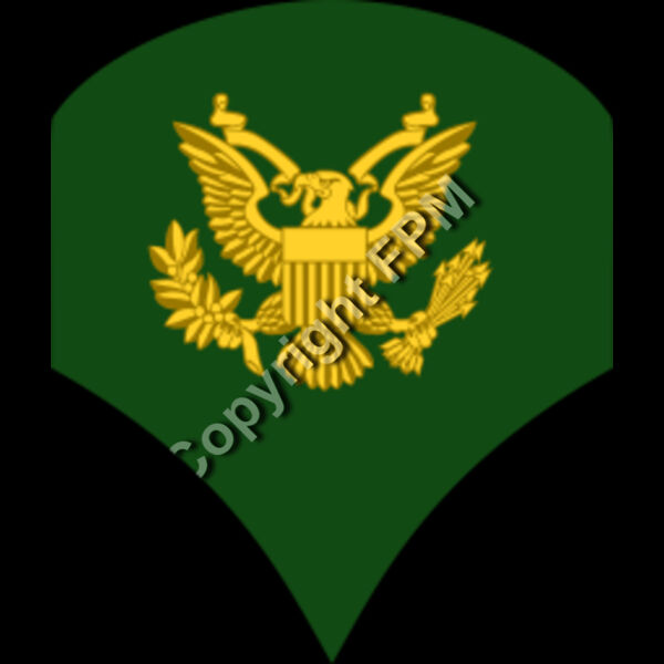 203 Specialist Thumbnail