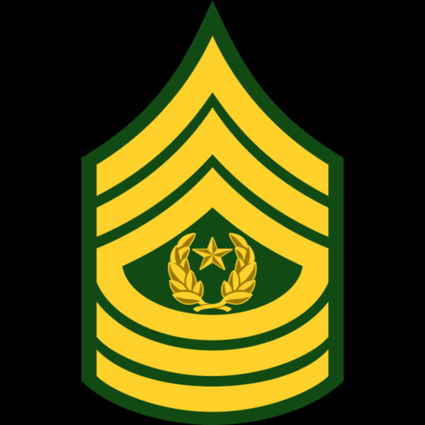 209 Command Sergeant Thumbnail