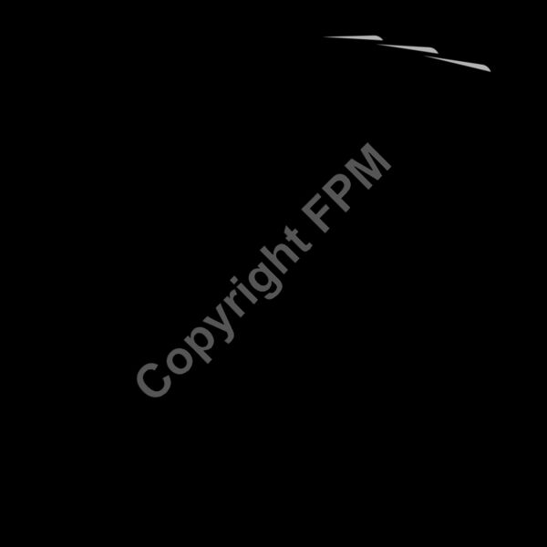 909 Card Flush Thumbnail