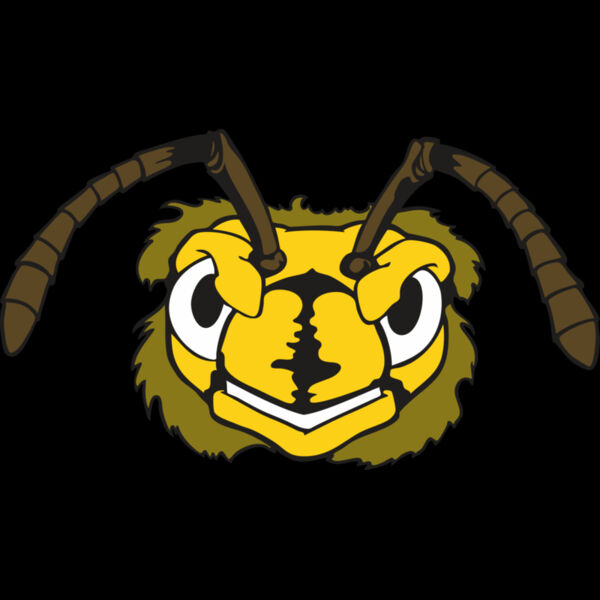 109 Bee Face Thumbnail