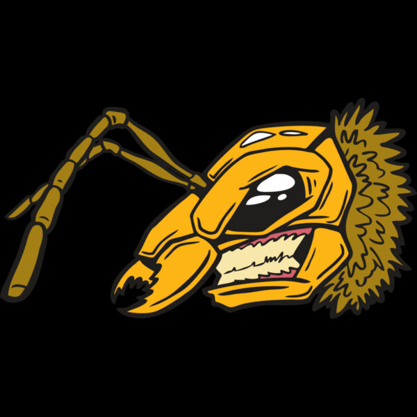 110 Bee Face Thumbnail