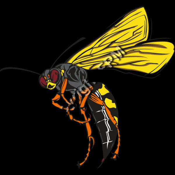 131 Wasp Thumbnail