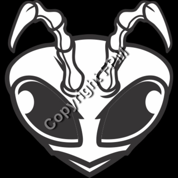139 Bee Head Thumbnail