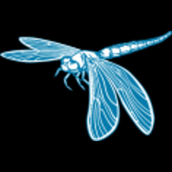 509 Dragonfly Thumbnail