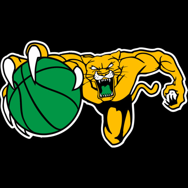 515 Cougar Basketball Thumbnail