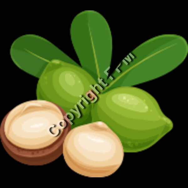 151 Macadamia Thumbnail