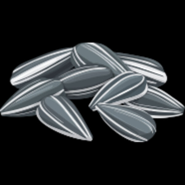 156 Sunflower Seeds Thumbnail