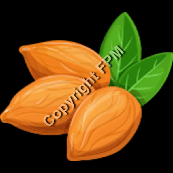 157 Almond Thumbnail