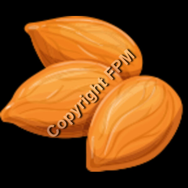 158 Almond Thumbnail