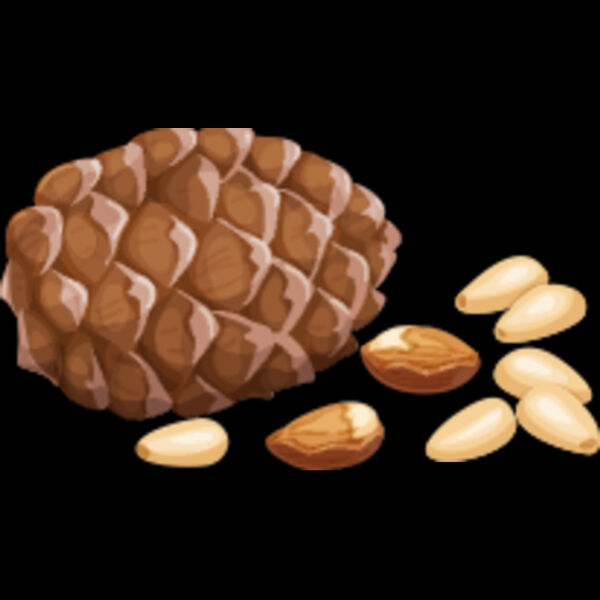 163 Pine Nuts Thumbnail