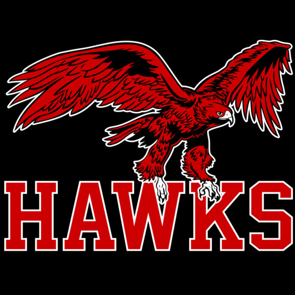 525 Hawks Thumbnail