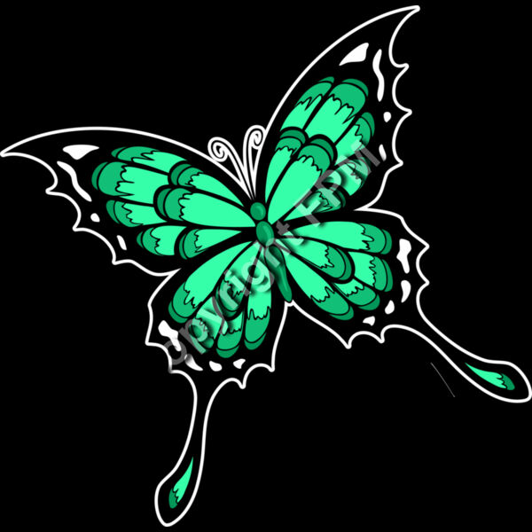 531 Butterfly Thumbnail