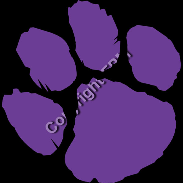 567 Paw Thumbnail