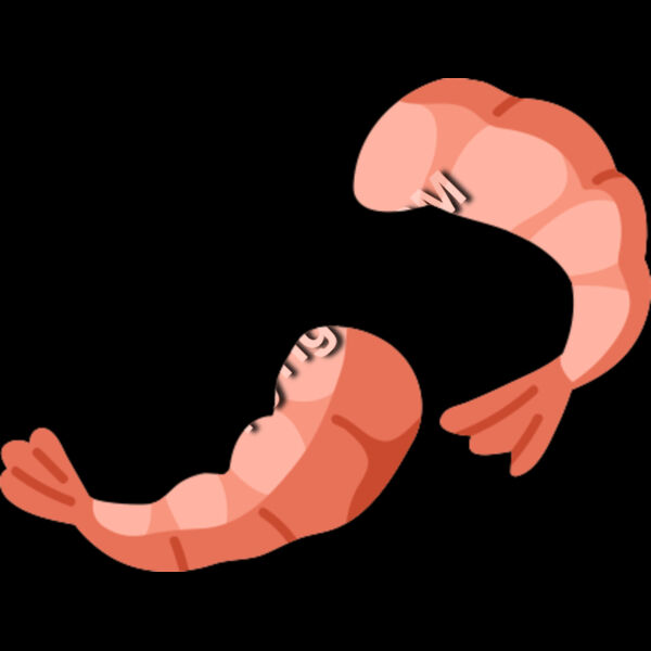139 Shrimp Thumbnail