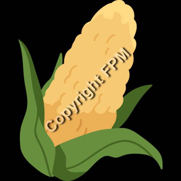 153 Corn Thumbnail