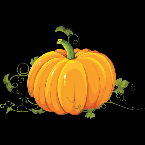 253 Pumpkin Thumbnail