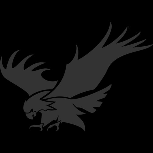 9017 Bird Thumbnail