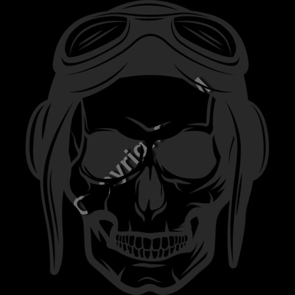 9020 Pilot Skull Thumbnail