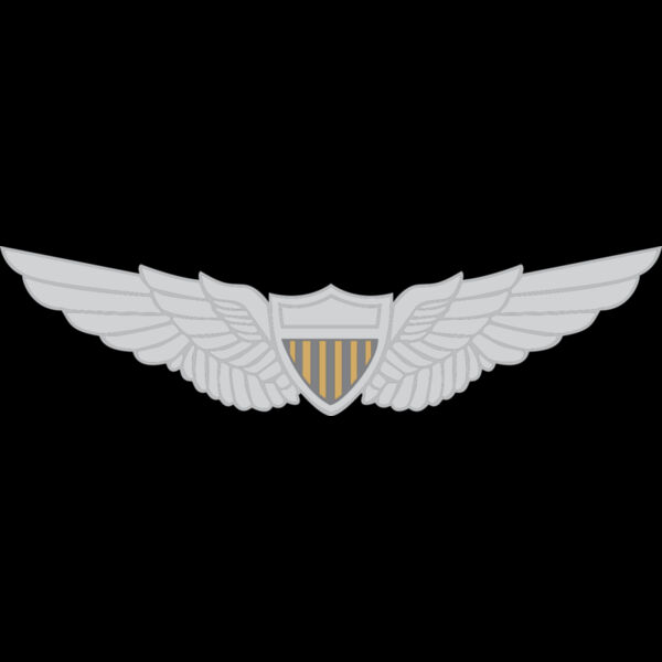 9004 Army Wings Thumbnail