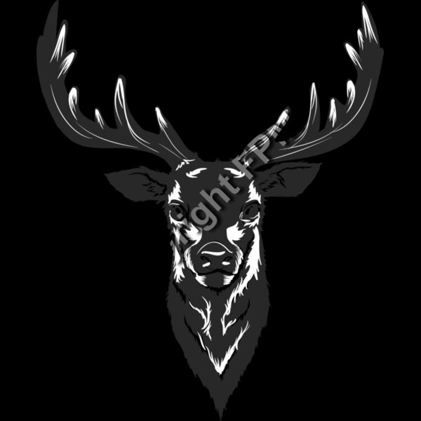 801 Deer Thumbnail