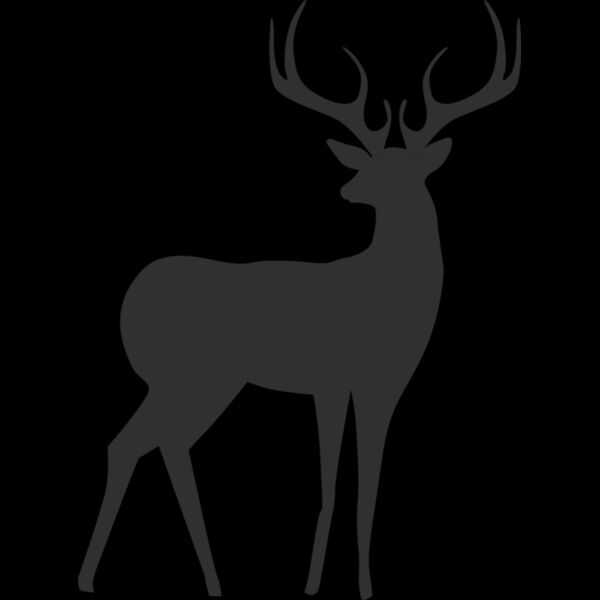 802 Deer Thumbnail