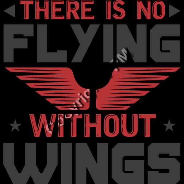 9032 There is no flying Thumbnail