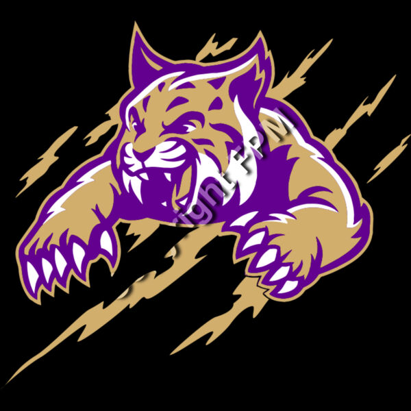 502 Bobcat Thumbnail