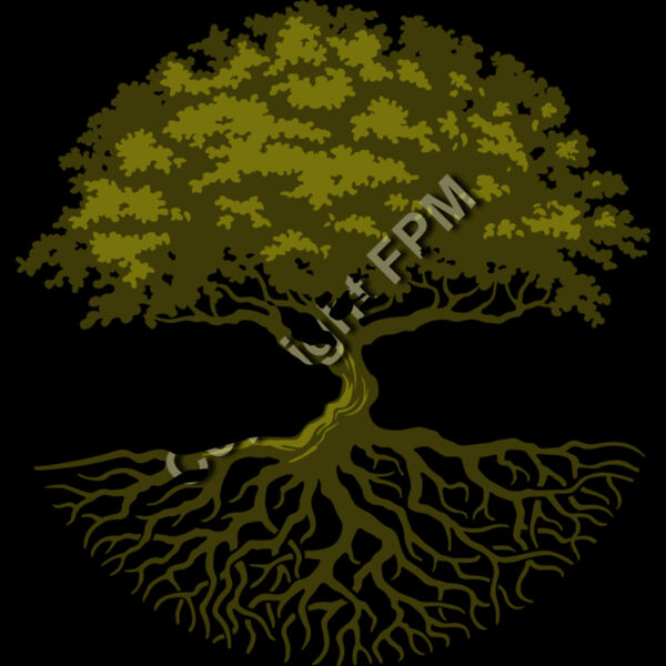 8097 Tree Thumbnail