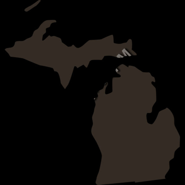 22 Michigan Thumbnail