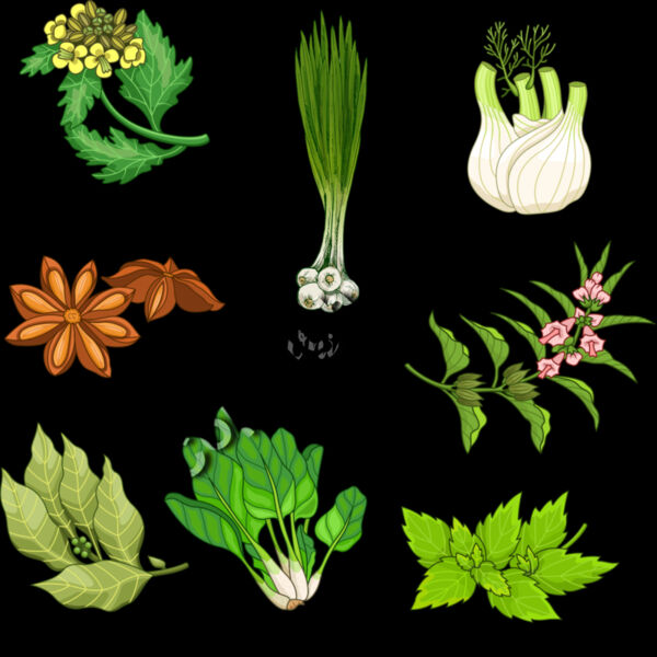 A1232 Herbs Thumbnail
