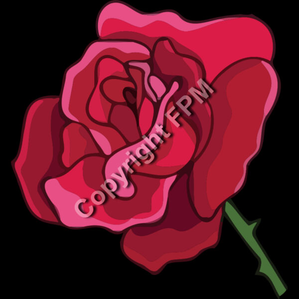 A1243 Rose Thumbnail