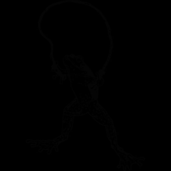 A1252 Frog Thumbnail