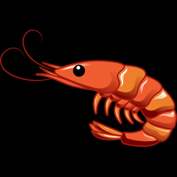 A1261 Shrimp Thumbnail