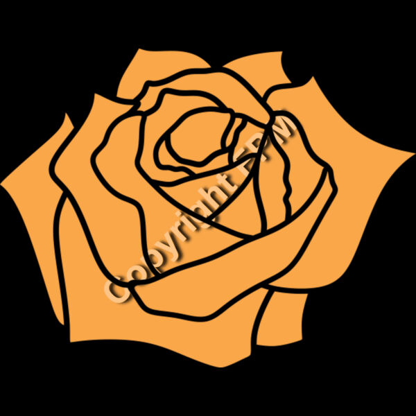 A1329 Rose Thumbnail