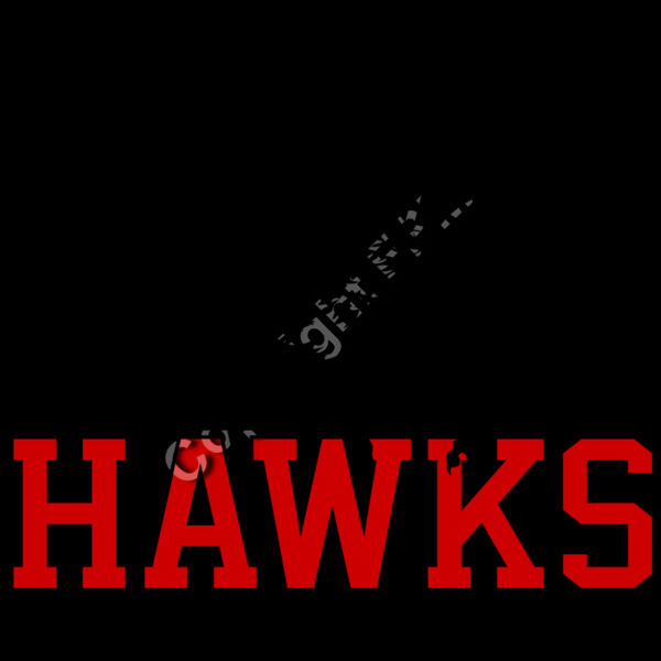 1214 Hawks Basketball Thumbnail