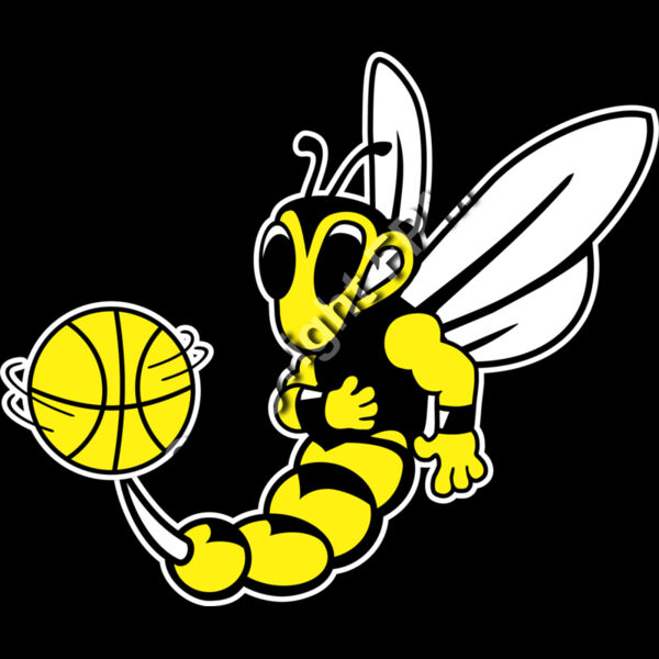 1230 Hornet Basketball Thumbnail