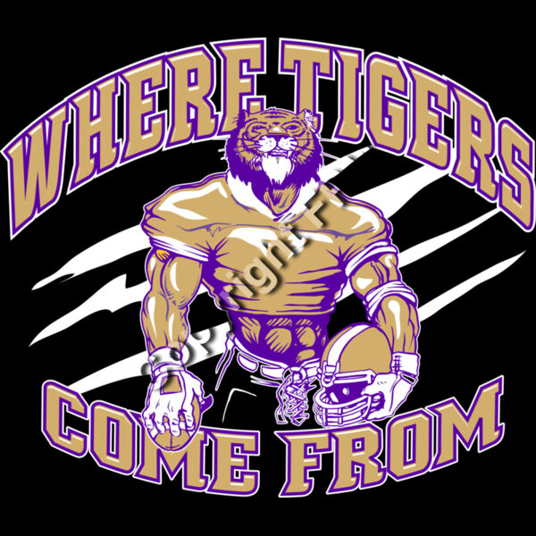 1259 Where Tigers Come From Thumbnail