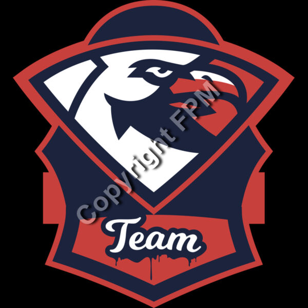1311 Hawks Team Thumbnail