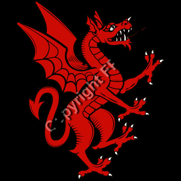 1350 Family Crest Red Dragon Thumbnail