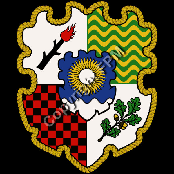 1356 Family Crest Shield Thumbnail