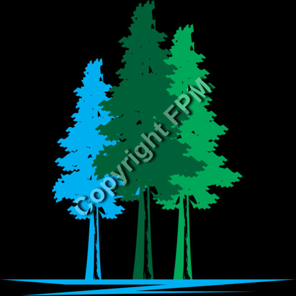 B1020 Redwood Trees Thumbnail
