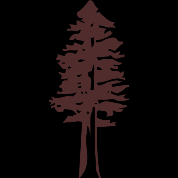 B1021 Redwood Tree Thumbnail