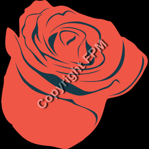 B1028 Rose Thumbnail